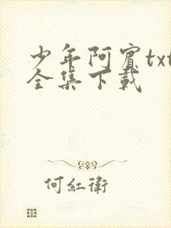 少年阿宾txt全集下载封面
