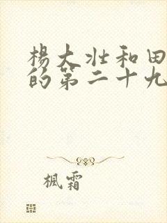 杨大壮和田桂花的第二十九封面