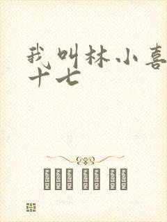 我叫林小喜今年十七封面