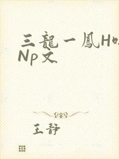 三龙一凤H啪肉Np文