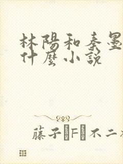 林阳和秦墨浓是什么小说封面