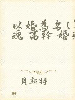 以婚为名 (军魂 高干 婚恋)