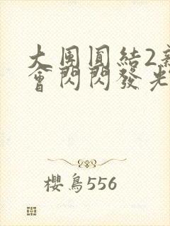 大团圆结2亲情会闪闪发光亲情会2