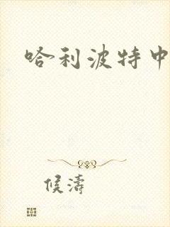 哈利波特中文版