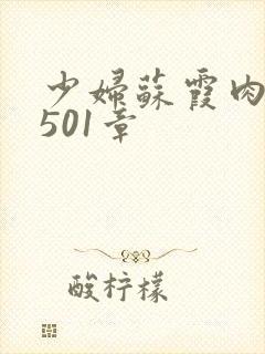 少妇苏霞肉欲第501章