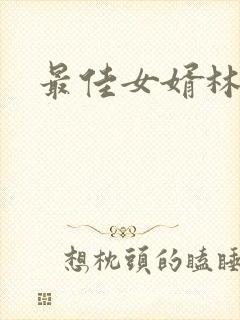 最佳女婿林凡封面