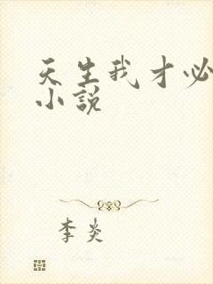 天生我才必有用小说封面