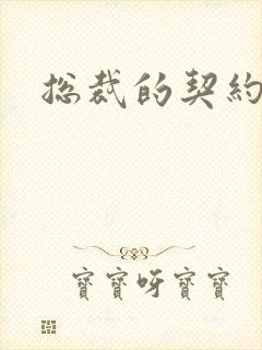 总裁的契约情人