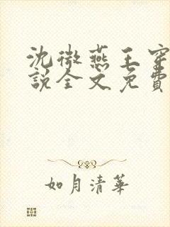 沈微燕王穿越小说全文免费阅读封面