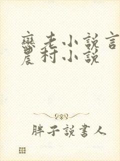 恋老小说言情网农村小说