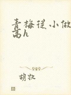 青梅从小做到大高h封面