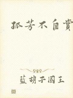 孤芳不自赏小说封面