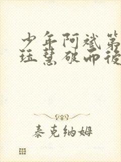 少年阿斌第二部珏慧破而后立封面