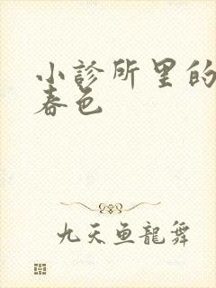 小诊所里的无边春色封面