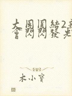 大团圆结2亲情会闪闪发光亲情会2