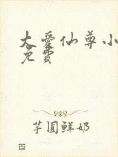 大爱仙尊小说版免费封面