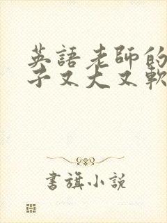 英语老师的小兔子又大又软