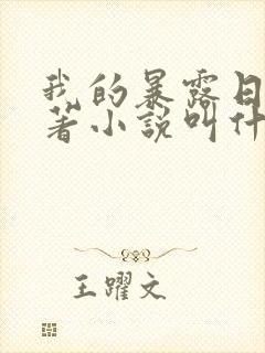 我的暴露日记原著小说叫什么