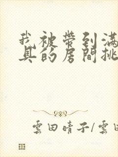 我被带到满是玩具的房间挑调作文