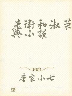 老卫和淑荣的经典小说