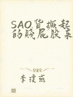 SAO货撅起你的贱屁股来