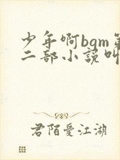 少年啊bgm第二部小说叫什么