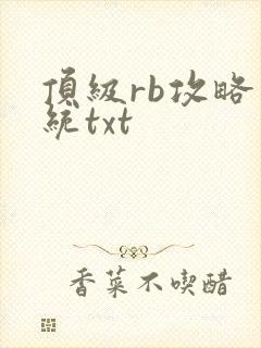 顶级rb攻略系统txt