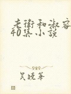 老卫和淑容1-40集小说