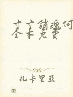 寸寸销魂何生祥全本免费