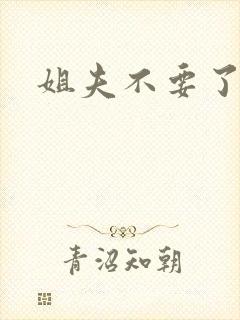 姐夫不要了封面