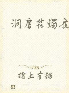 洞房花烛夜小说封面