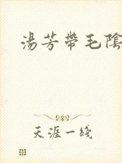 汤芳带毛阴部封面