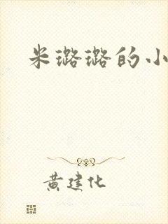 米璐璐的小说