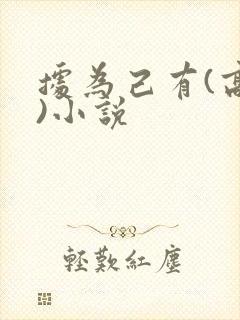 据为己有(高干)小说