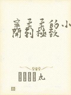 宁柔柔的小泬撑开到极致