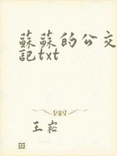 苏苏的公交车日记txt封面