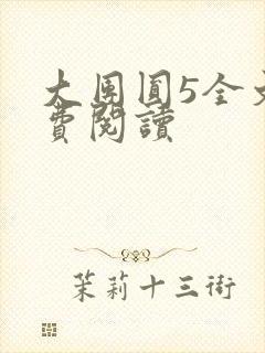 大团圆5全文免费阅读