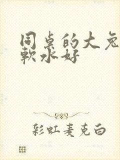 同桌的大兔子好软水好