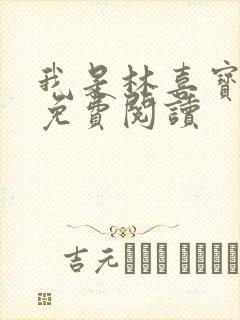 我是林喜宝小说免费阅读封面