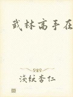 武林高手在异界封面