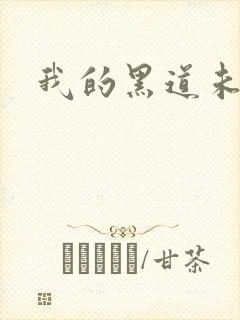 我的黑道未婚夫