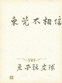 东莞不相信眼泪