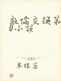 敌伦交换第150小说封面