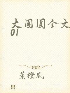 大团圆全文阅读01封面