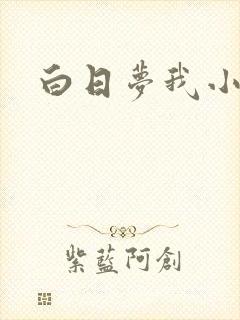 白日梦我小说