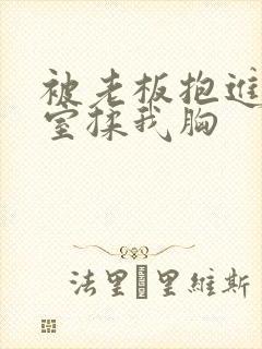 被老板抱进办公室揉我胸封面