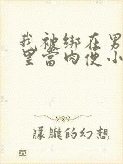 我被绑在男公厕里当肉便小说封面