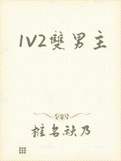 1V2双男主