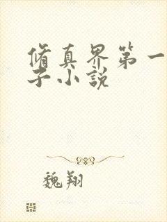 修真界第一病秧子小说
