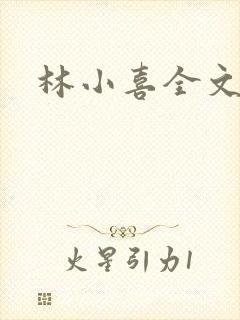 林小喜全文阅读